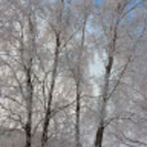 Meet your Posher, Connie